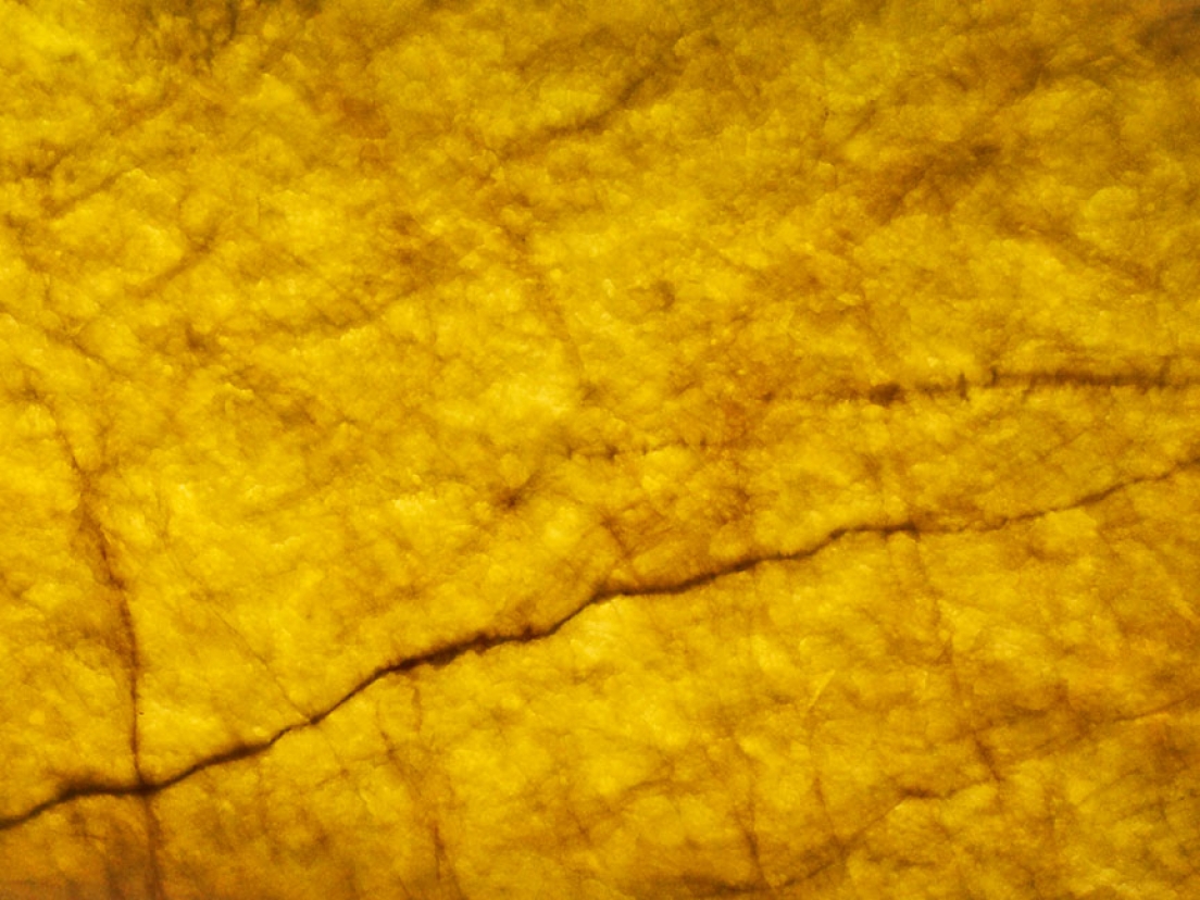 gallery/wp-content-uploads-2018-09-Oxix